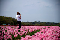 1 - Tulips for Tapping