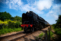 DSC_2480 small